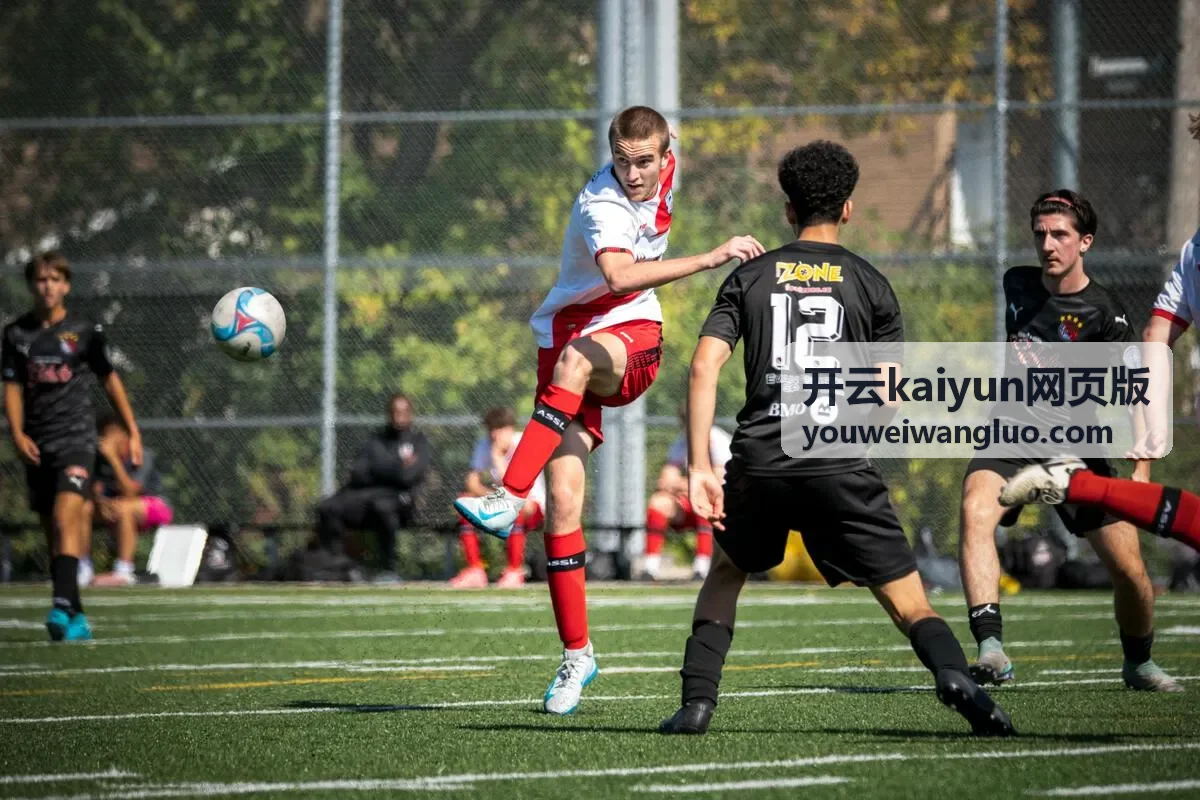 开云kaiyun网页版新手学堂分类示意封面